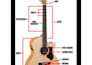 give affordable beginner guitar lessons